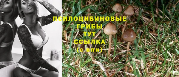 марки lsd Армянск
