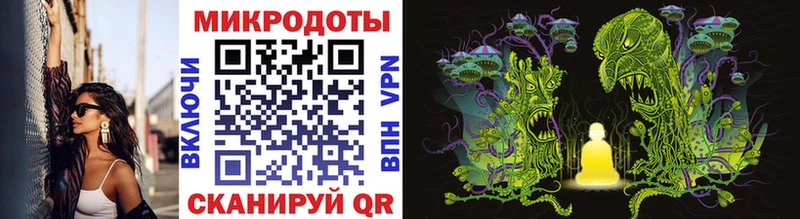 Псилоцибиновые грибы Psilocybine cubensis Камбарка